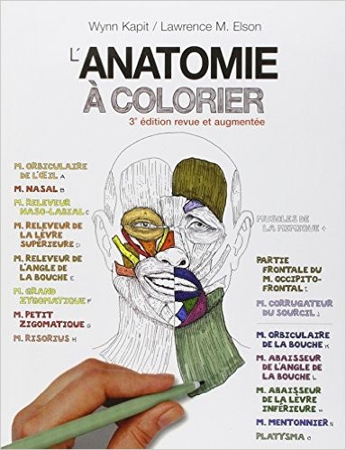 L Anatomie A Colorier Pierre Kamina Edition Maloine
